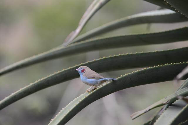 profile